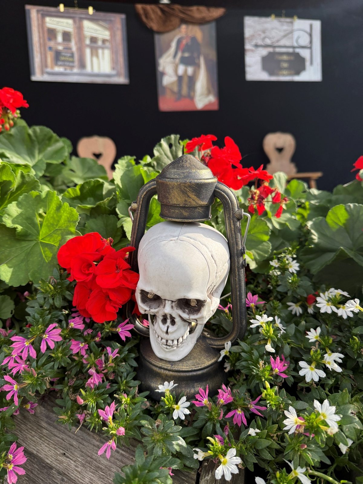 Eine Laterne in Form eines Totenkopfs zwischen roten Geranien vor der Bühne